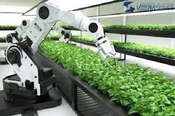 استفاده از هوش مصنوعی در کشاورزی تاثیر قابل توجهی بر افزایش تولید دارد.