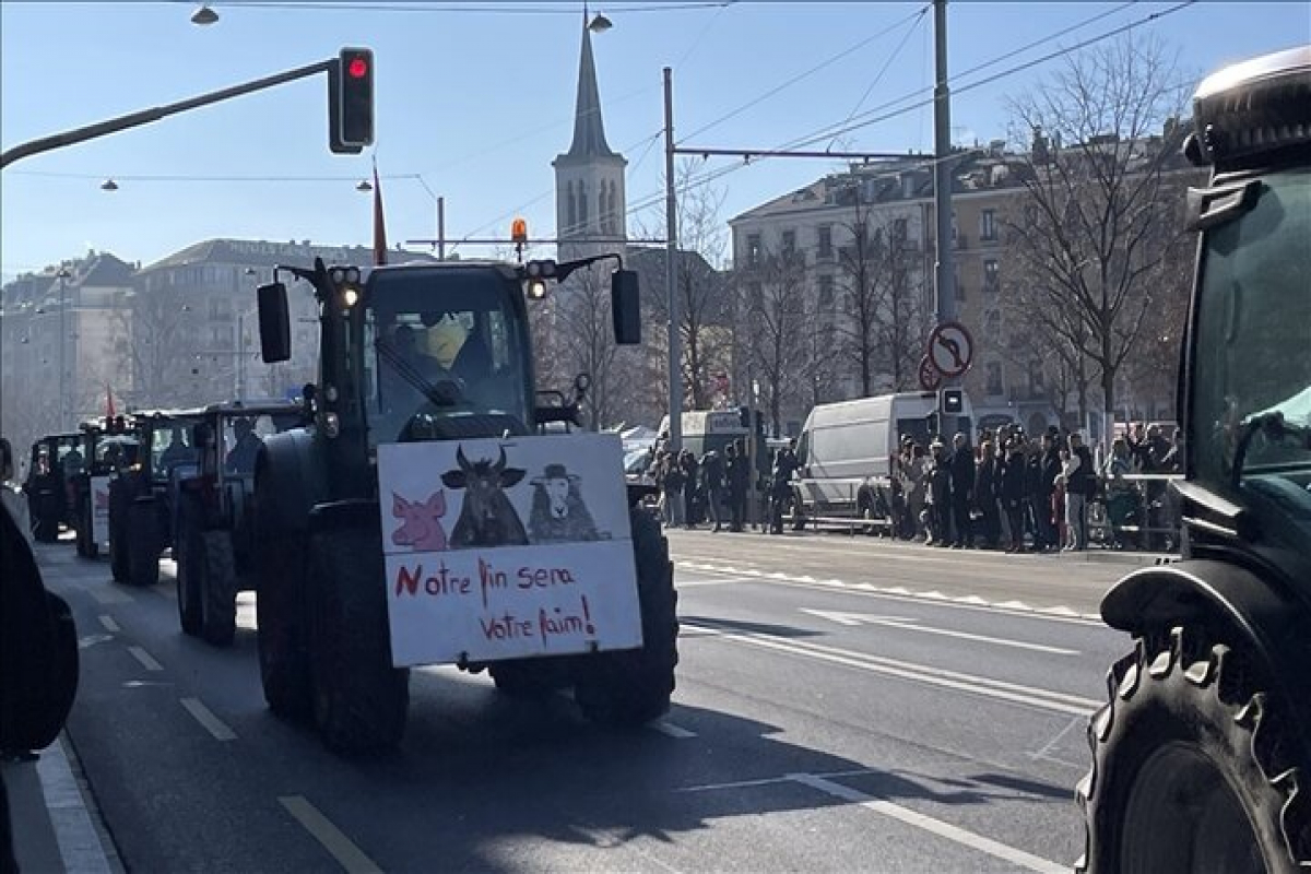 پیوستن معترضان جمهوری چک به  جمع اعتراض کشاورزان اروپایی